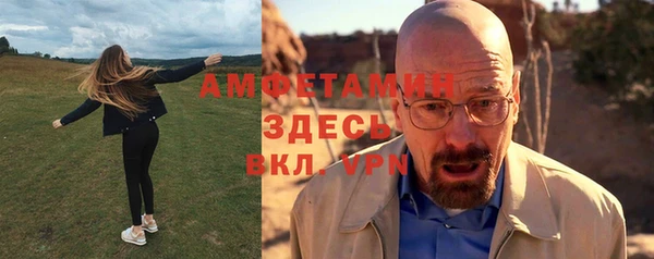 ГАЛЛЮЦИНОГЕННЫЕ ГРИБЫ Аркадак