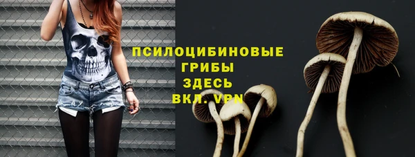 ГАЛЛЮЦИНОГЕННЫЕ ГРИБЫ Аркадак