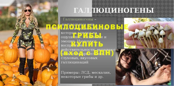 ГАЛЛЮЦИНОГЕННЫЕ ГРИБЫ Аркадак
