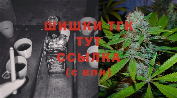 ГАЛЛЮЦИНОГЕННЫЕ ГРИБЫ Аркадак