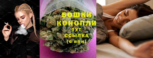 ГАЛЛЮЦИНОГЕННЫЕ ГРИБЫ Аркадак