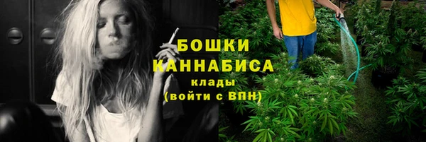 ГАЛЛЮЦИНОГЕННЫЕ ГРИБЫ Аркадак