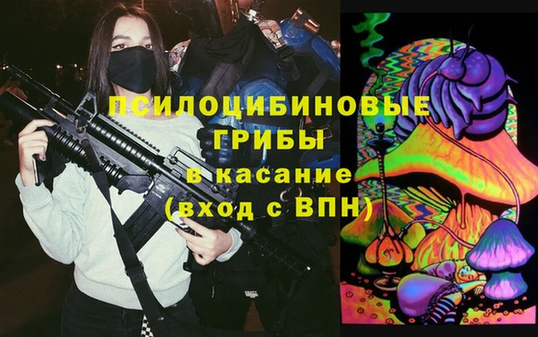 ГАЛЛЮЦИНОГЕННЫЕ ГРИБЫ Аркадак